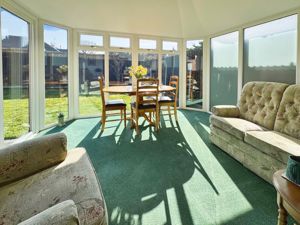 CONIFER CLOSE- click for photo gallery